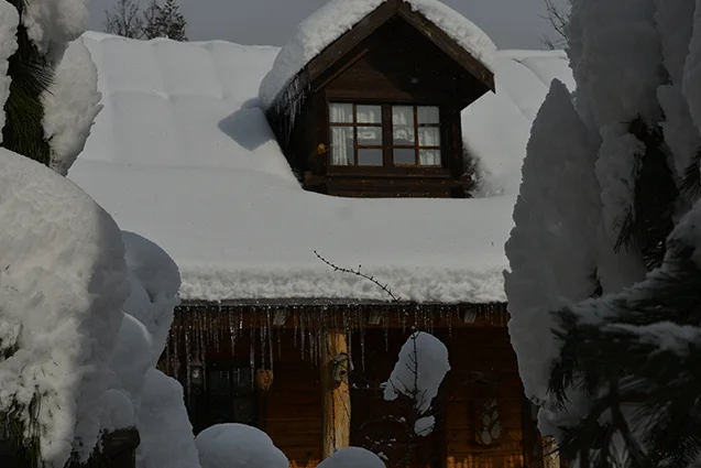 Bilginin Ev