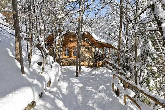 Sleepy's House